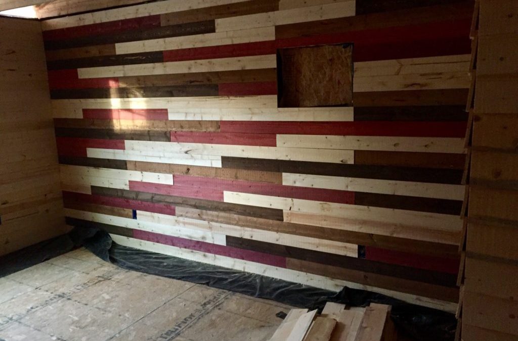multicolor shiplap wall